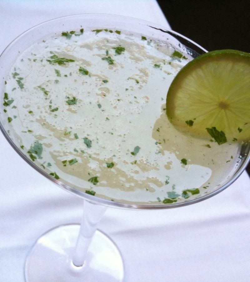 Salt Orchard — A garden gin sour with a green-apple heart and a half-rim of sea salt for the sip that wants it.